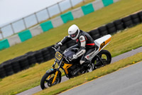 PJ-Motorsport-2019;anglesey-no-limits-trackday;anglesey-photographs;anglesey-trackday-photographs;enduro-digital-images;event-digital-images;eventdigitalimages;no-limits-trackdays;peter-wileman-photography;racing-digital-images;trac-mon;trackday-digital-images;trackday-photos;ty-croes